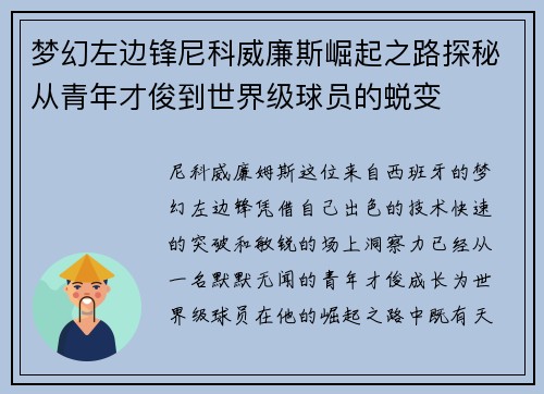 梦幻左边锋尼科威廉斯崛起之路探秘从青年才俊到世界级球员的蜕变